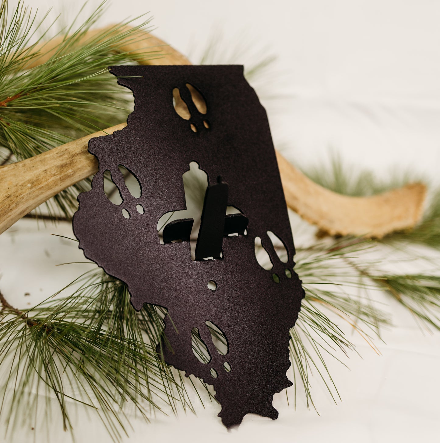 Illinois European Skull Mount Hanger