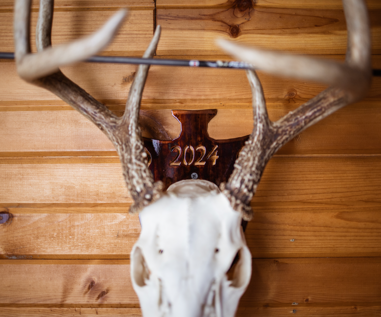 Arrow Head European Skull Mount Hanger