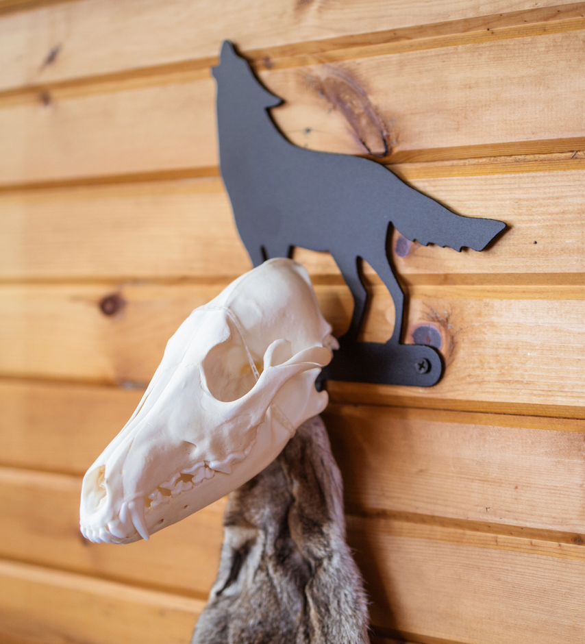Coyote Pelt and Skull Hanger