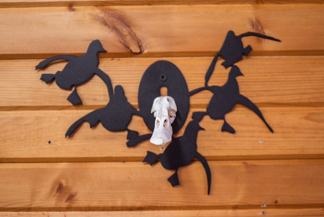 Duck Skull Mount Hanger