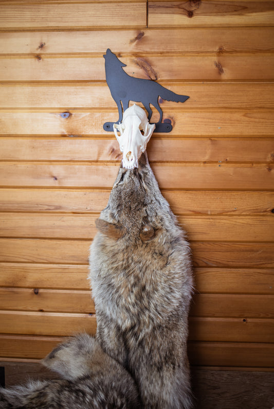 Coyote Pelt and Skull Hanger