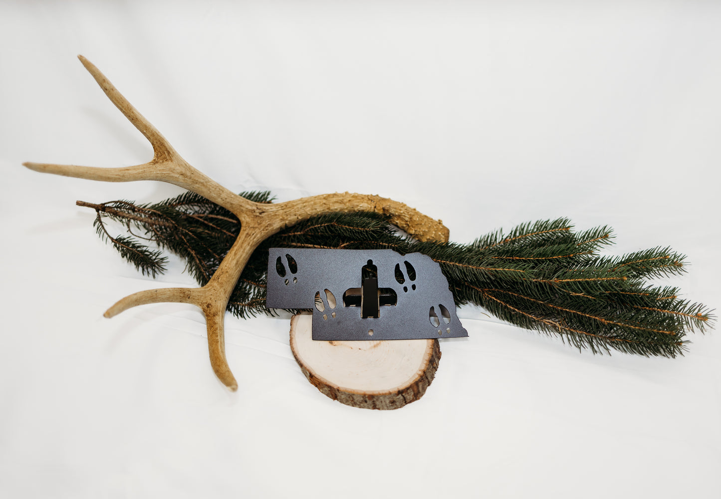Nebraska European Skull Mount Hanger