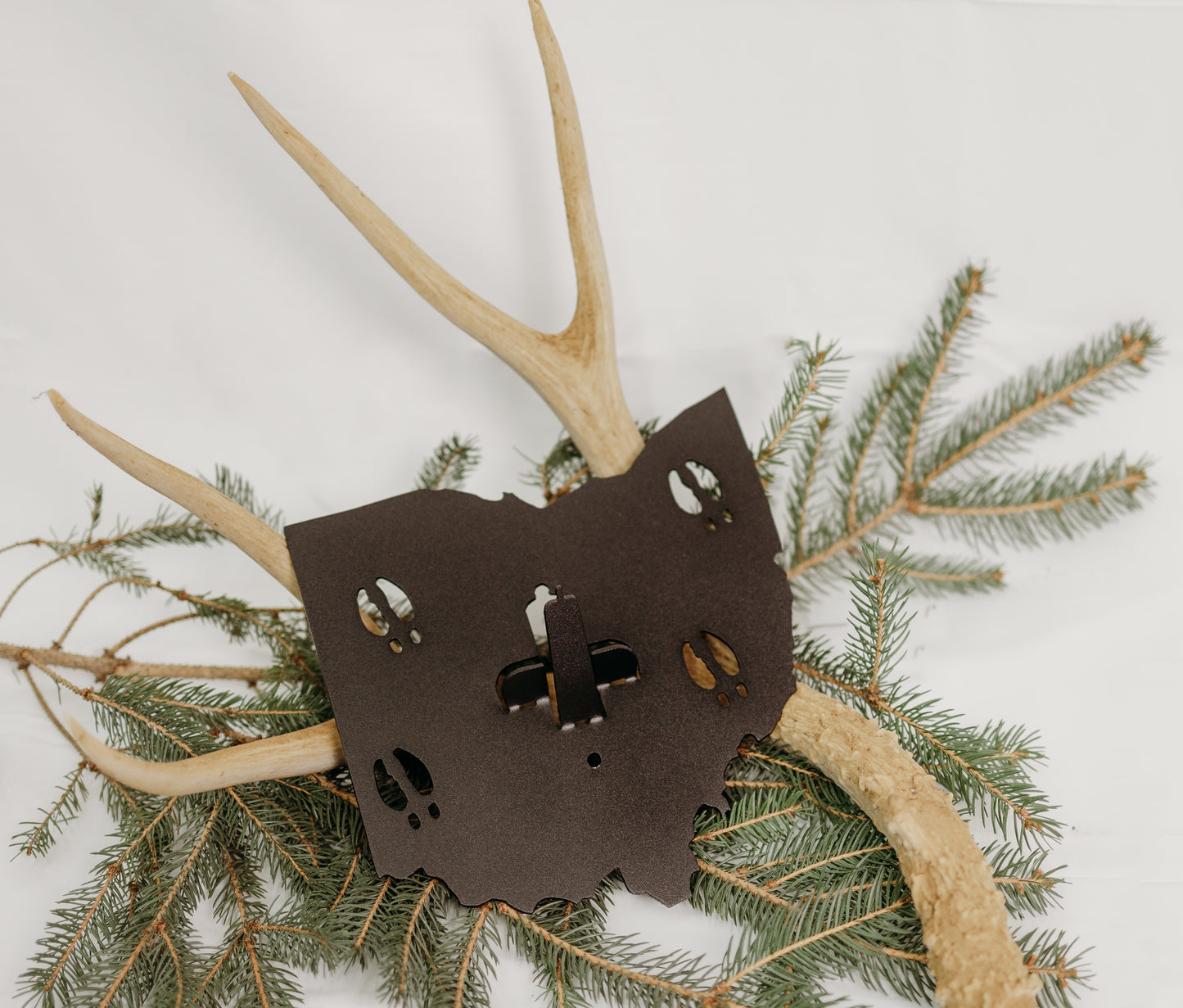 Ohio European Skull Mount Hanger
