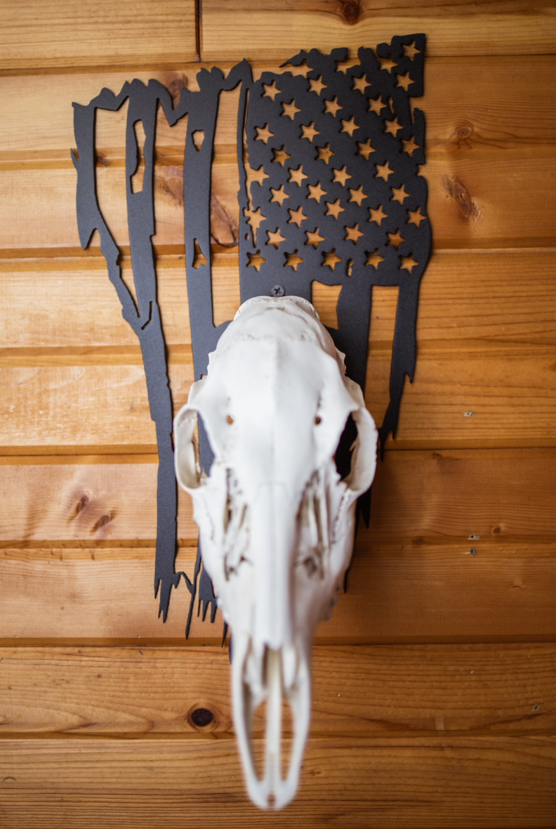 American Flag European Skull Mount Hanger