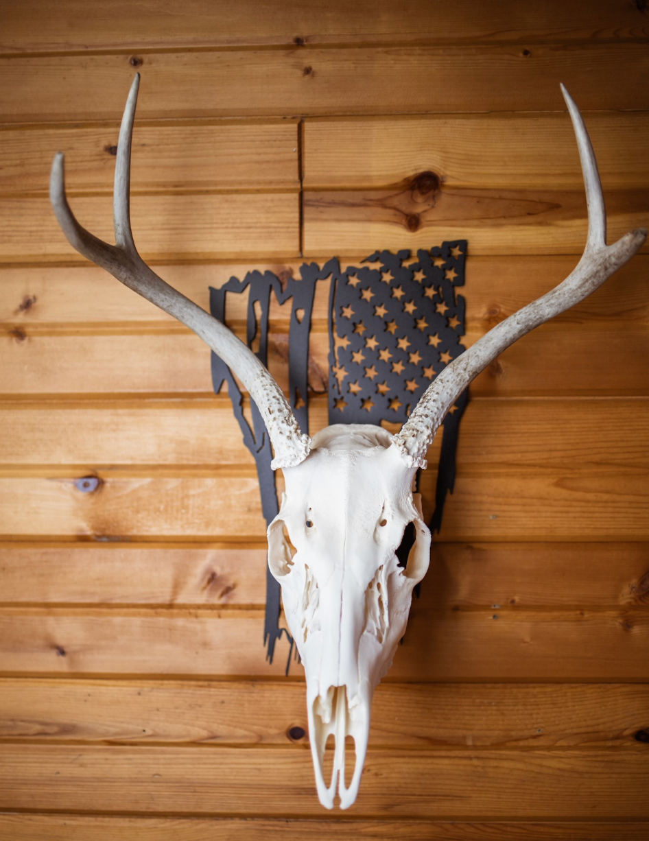 American Flag European Skull Mount Hanger