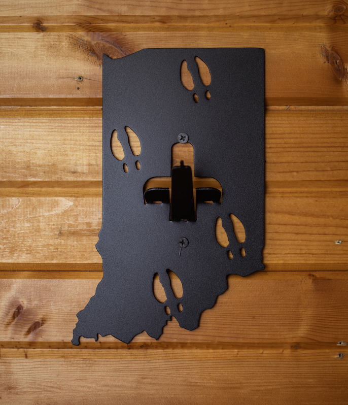 Indiana European Skull Mount
