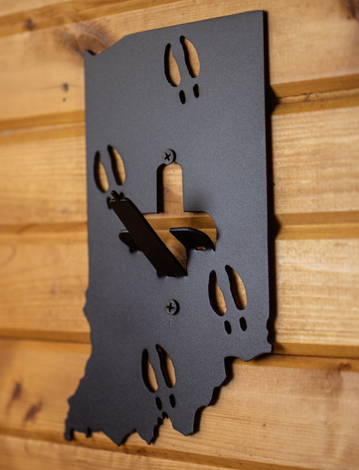 Indiana European Skull Mount