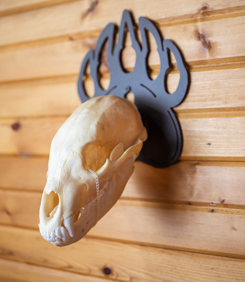 Bear European Skull Mount Hanger