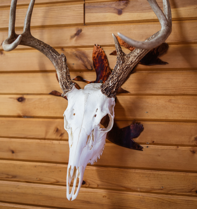 Goose Flying European Skull Mount Hanger