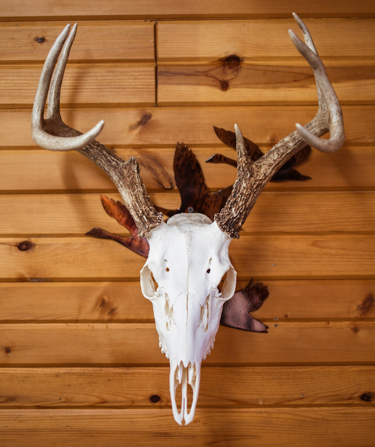 Goose Flying European Skull Mount Hanger