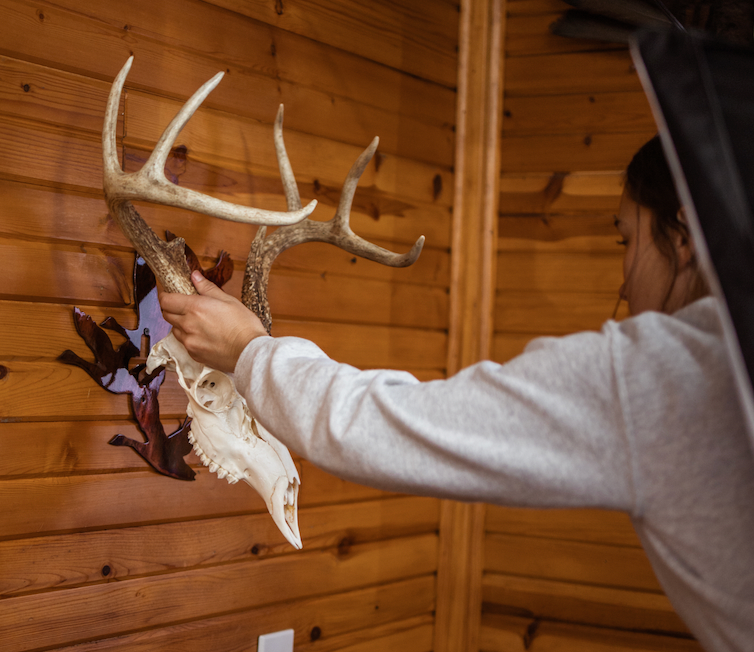 Goose Flying European Skull Mount Hanger