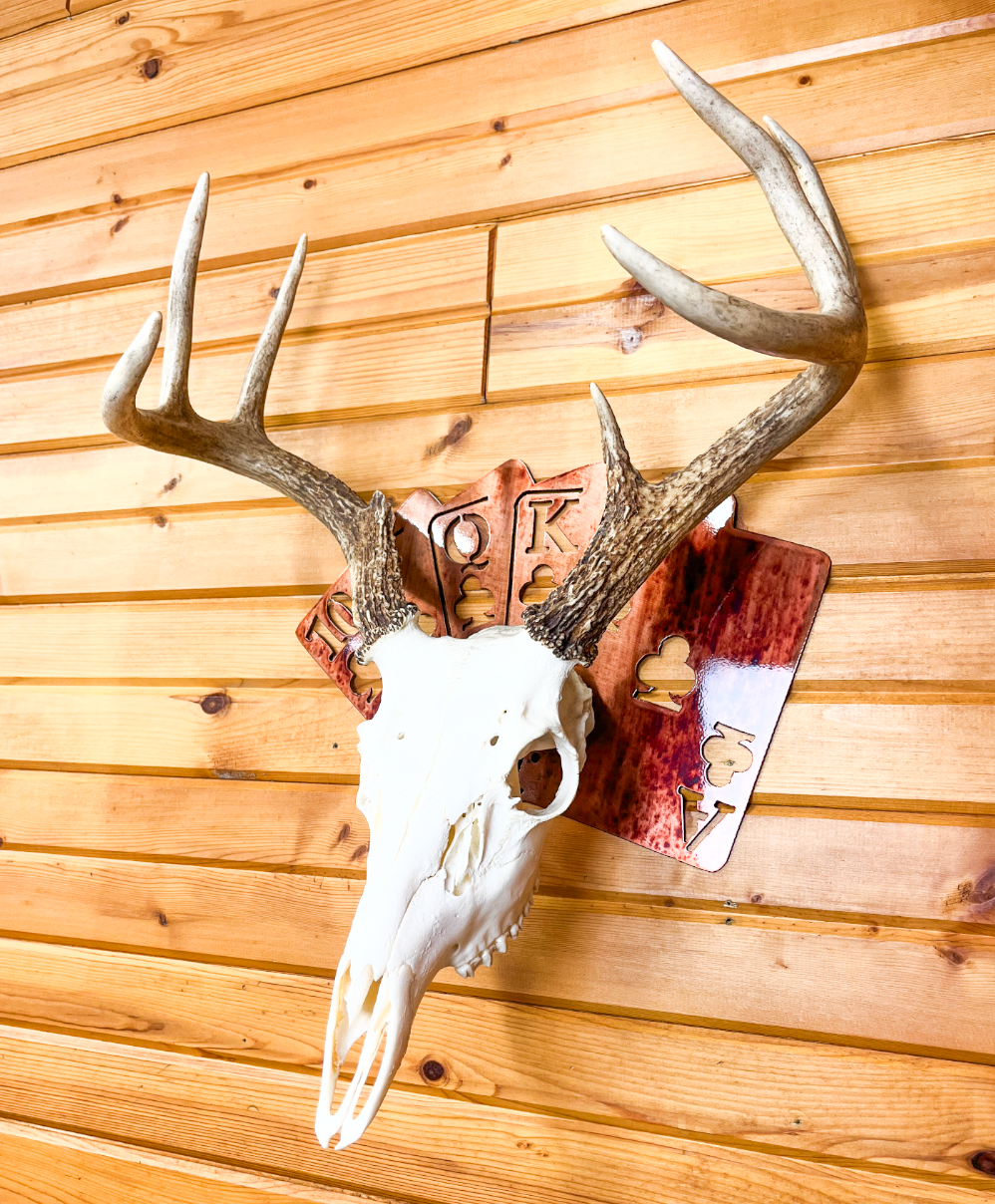Deck of cards European Skull Mount Hanger